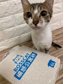 megapx