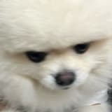 生氣屁眼