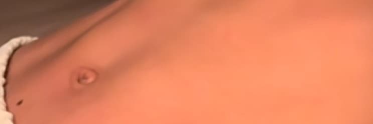 呈