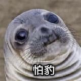 ddr9800