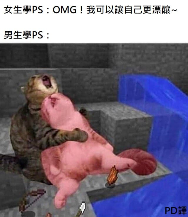 megapx