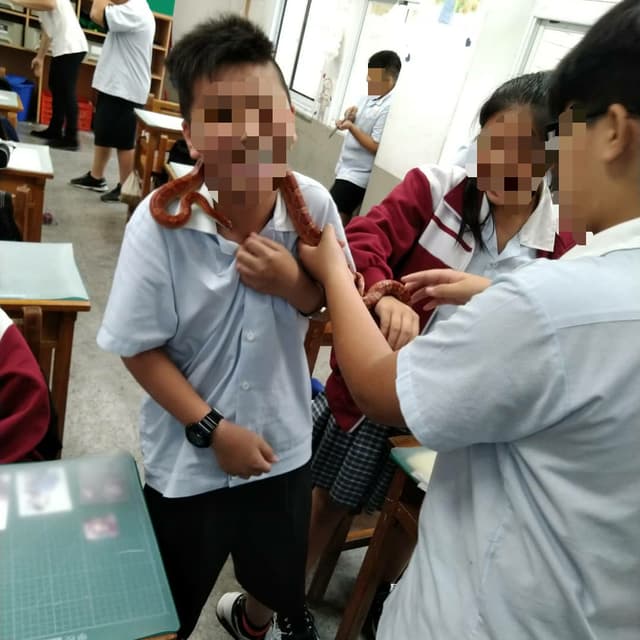 megapx