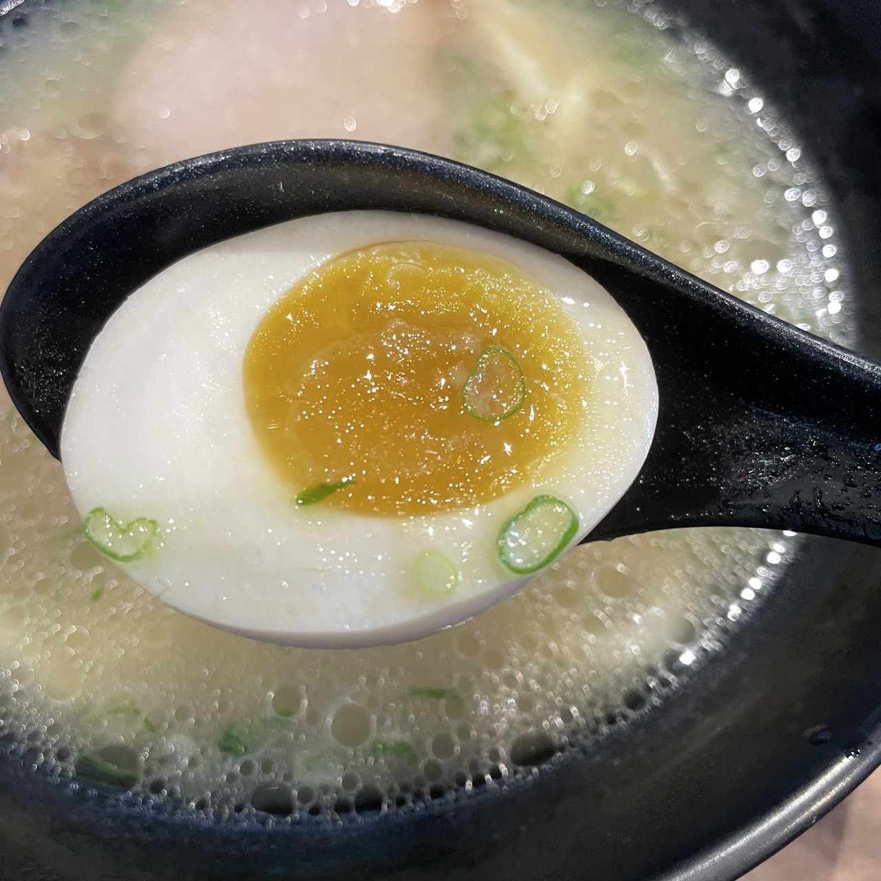 【雲林斗六|侍悟丸】中部限定的高質感迴轉壽司!豚骨烏龍麵88 【雲林斗六|侍悟丸】中部限定的高質感迴轉壽司!豚骨烏龍麵88