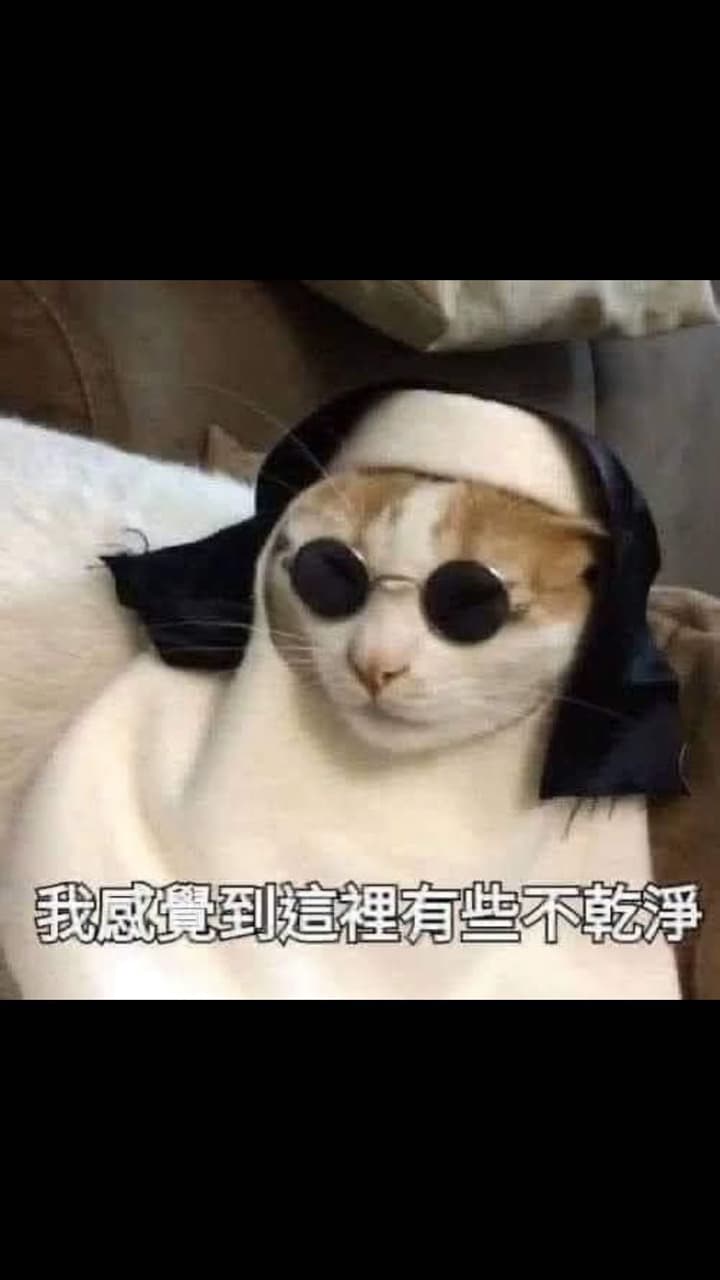 看看他睿智的眼神（◐ ‿ ◑） - 梗圖板| Dcard