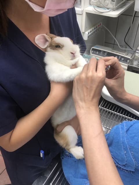 megapx