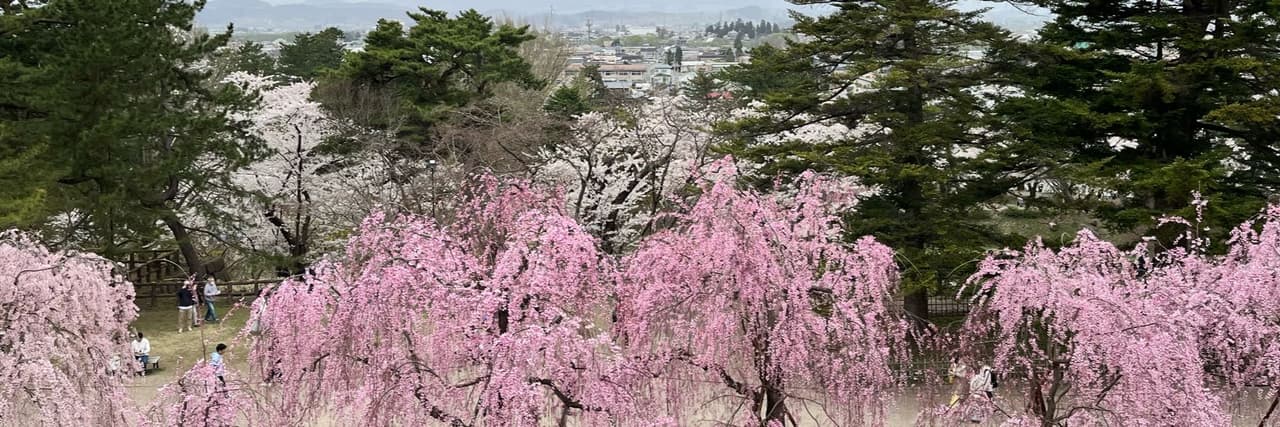 樂