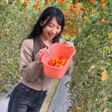 凱特