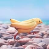 米苔目