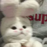 qqq30412