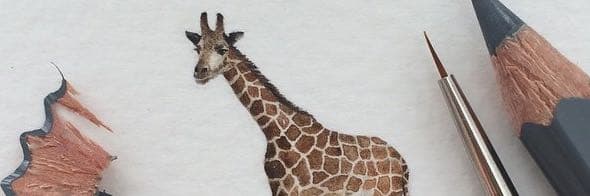 一隻長頸鹿🦒