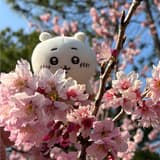 泥泥醬