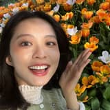 崔西在哪裡
