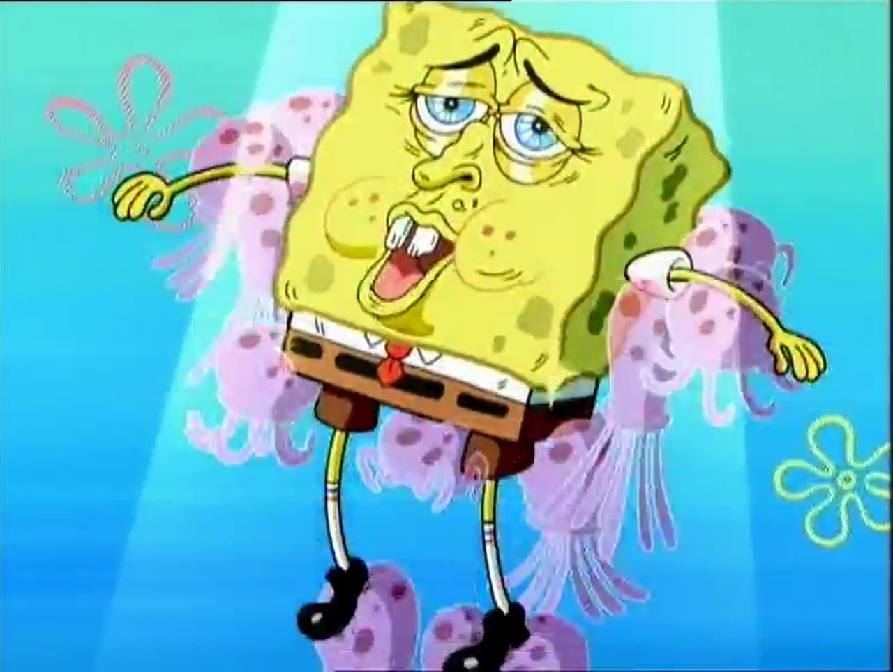 問面相]當女森說男生憨厚老實時... - 成功大學板| Dcard