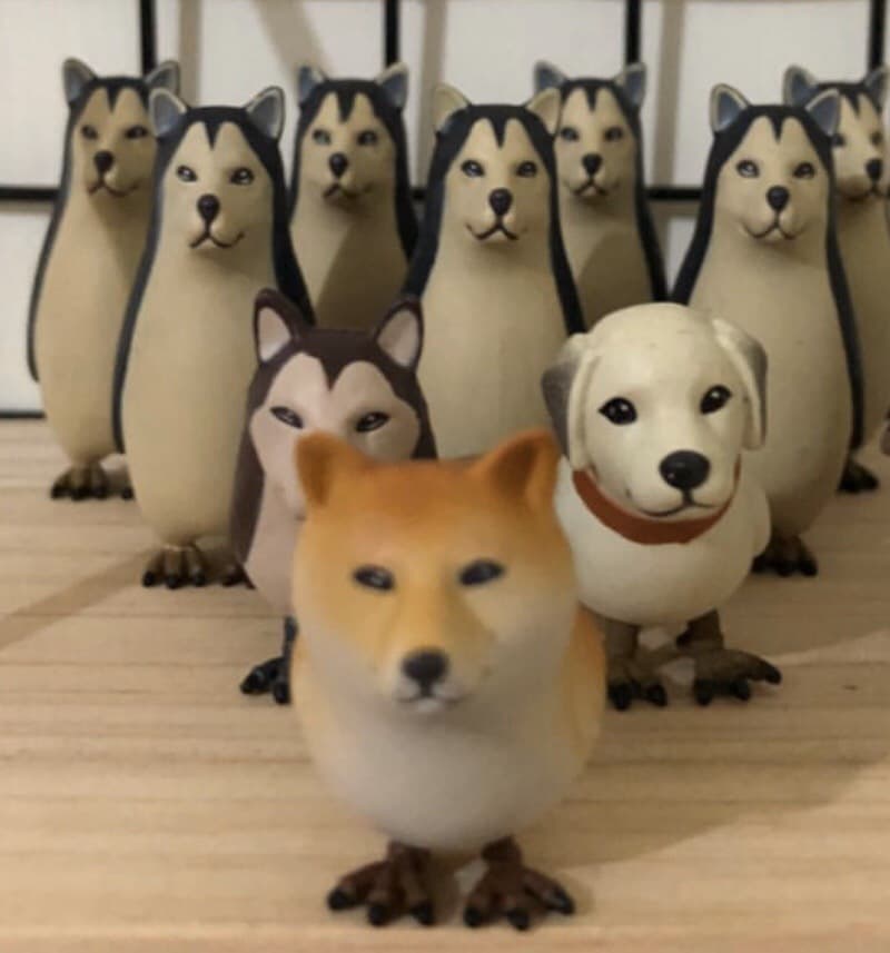 megapx