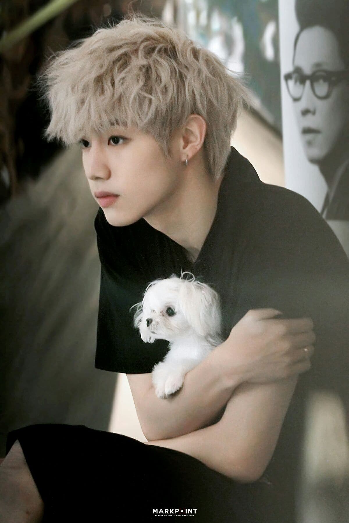 GOT7走Skyway吧_一日一介紹之Mark篇 - 追星板 | Dcard