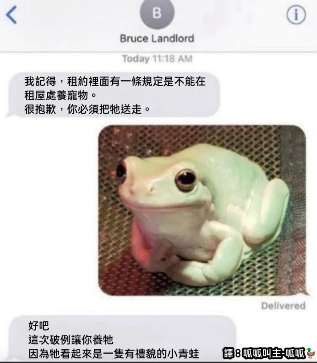🐸 - 梗圖板| Dcard