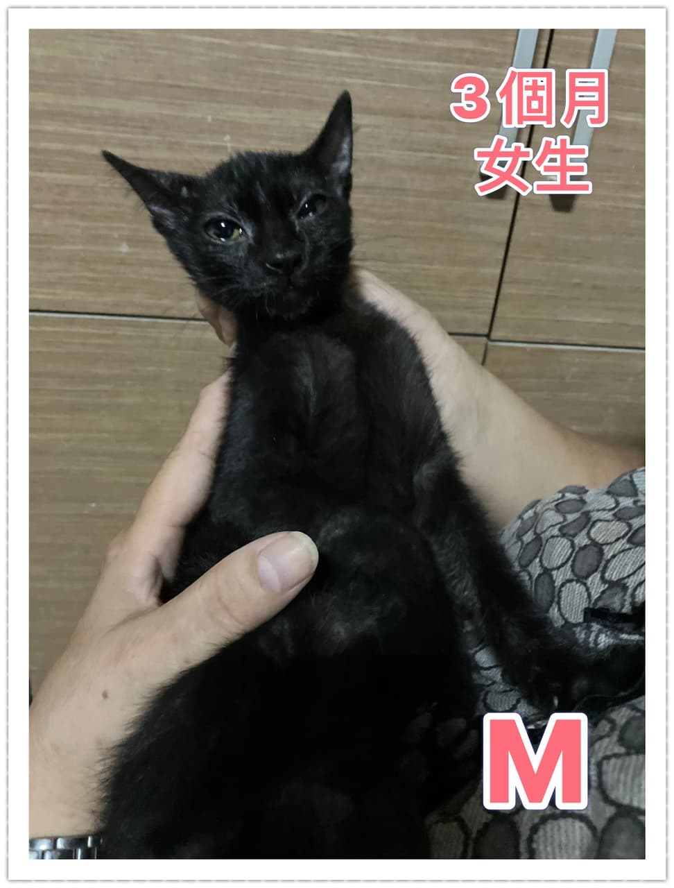 megapx