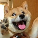 WavJaby