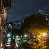cJdigoree