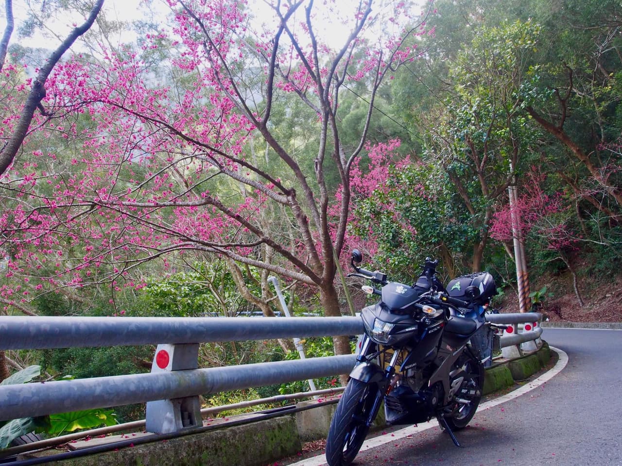 白牌檔車新手白牌檔車選擇Honda or YAMAHA - 重機板| Dcard