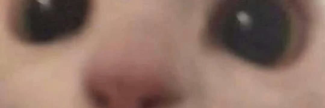 人類