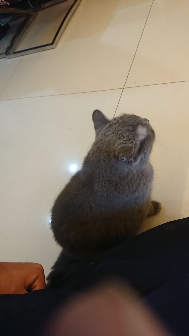 megapx