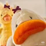 允心