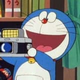 狐小狸