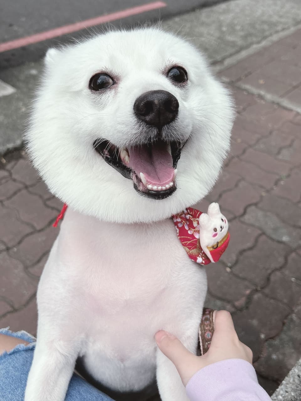 megapx