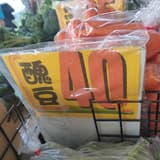 國立臺灣大學 趴枕頭系
