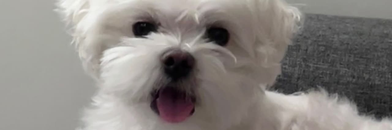 獨角獸愛化妝