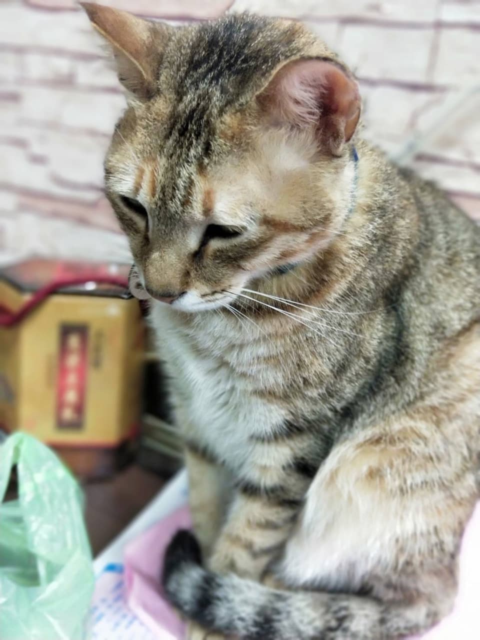 megapx