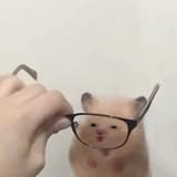 比比🐰