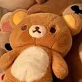 小翼(* ॑꒳ ॑*)⸝