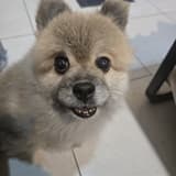 昕昕
