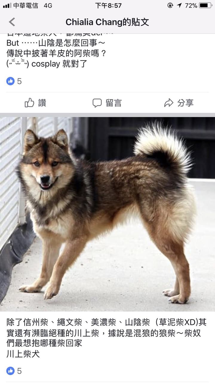 我的確養了一台車#雙柴- B26 留言| Dcard