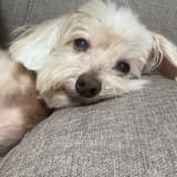 rita_515