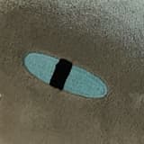 kind_88