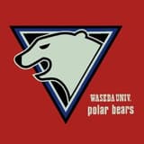 polar_bears