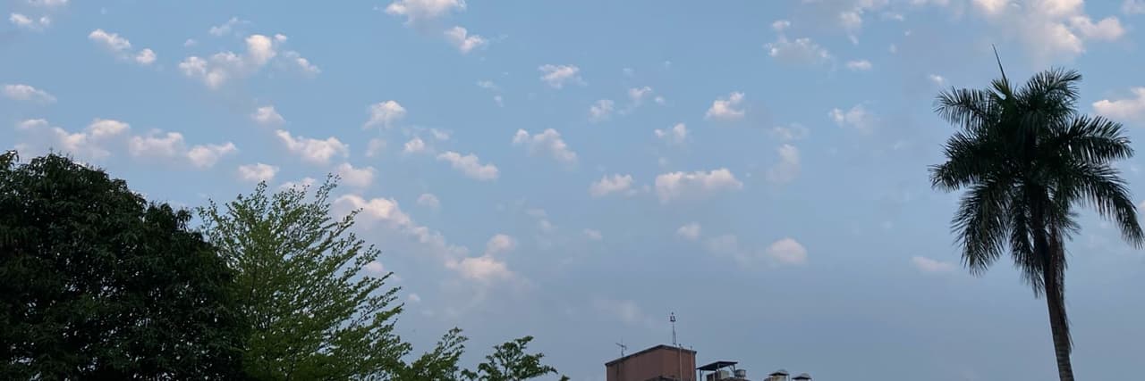 阿達去哪了