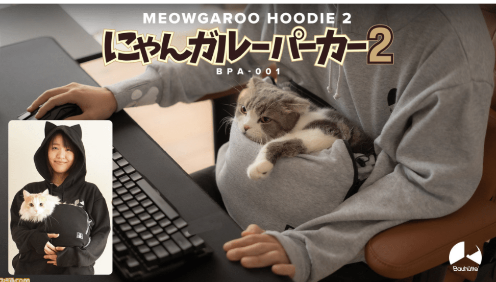 如果打遊戲一直被喵星人打擾怎麼辦?🐱🐱 - 遊戲板 | Dcard