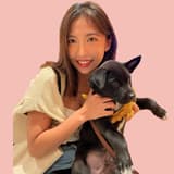 獸醫Emily