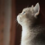 yy_970120