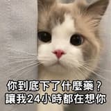 浮塵