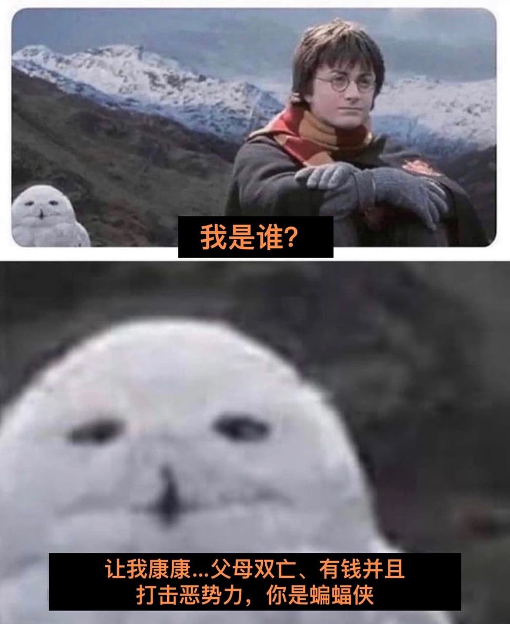 哈利波特=蝙蝠俠說成立- 梗圖板| Dcard