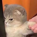 我是一個年輕人
