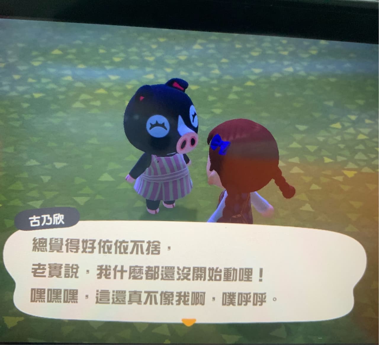 (已預訂)有人想要接走古乃欣嗎? - 動物森友會板 | Dcard