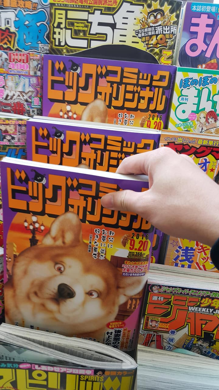 megapx