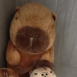 su_sususu