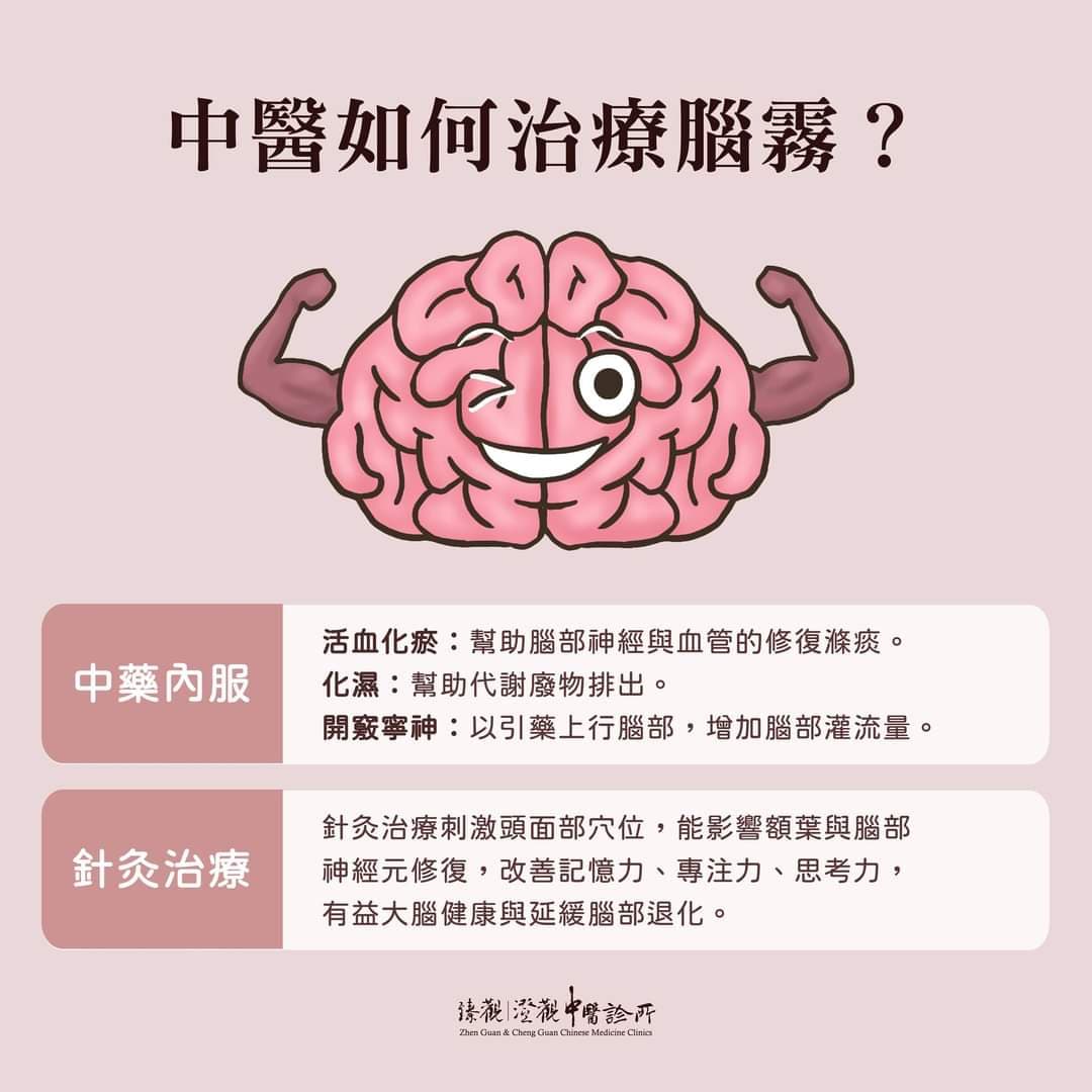 「腦霧 Brain Fog X 中醫調理 新冠肺炎恢復期 腦部與神經系統後遺症」永和-臻觀中醫|台北、台中-澄觀中醫診所~ 衛教資訊分享 ...
